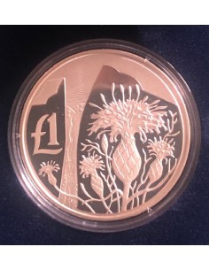 Cyprus 1 Pound Silver Proof Coin 2006 Cyprus Wildlife Series